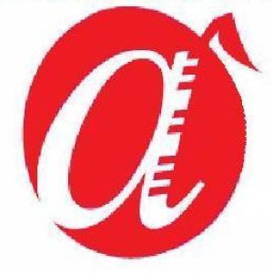cropped-AKMS-EDITED-Logo-Close-up-no-tag-or-services-300x300